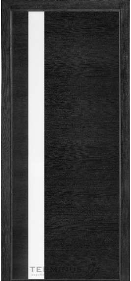 МІЖКІМНАТНІ ДВЕРІ ТЕРМІНУС Urban 21 в кольорі Дуб Nero