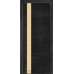 МІЖКІМНАТНІ ДВЕРІ ТЕРМІНУС Urban 21 в кольорі Дуб Nero